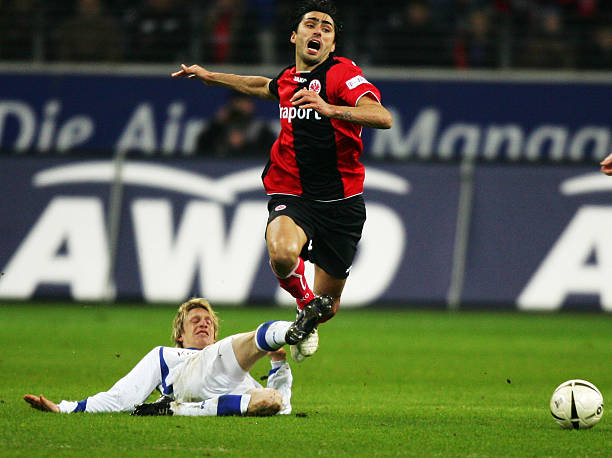 个多文化的 个多文化的